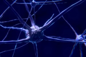 trauma neuronal pathways